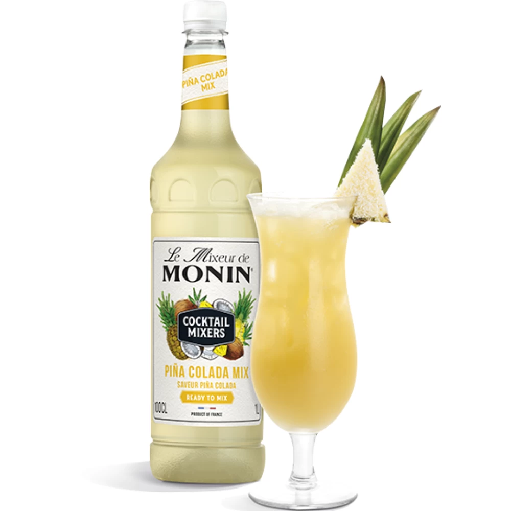 Le Mixeur Pina Colada