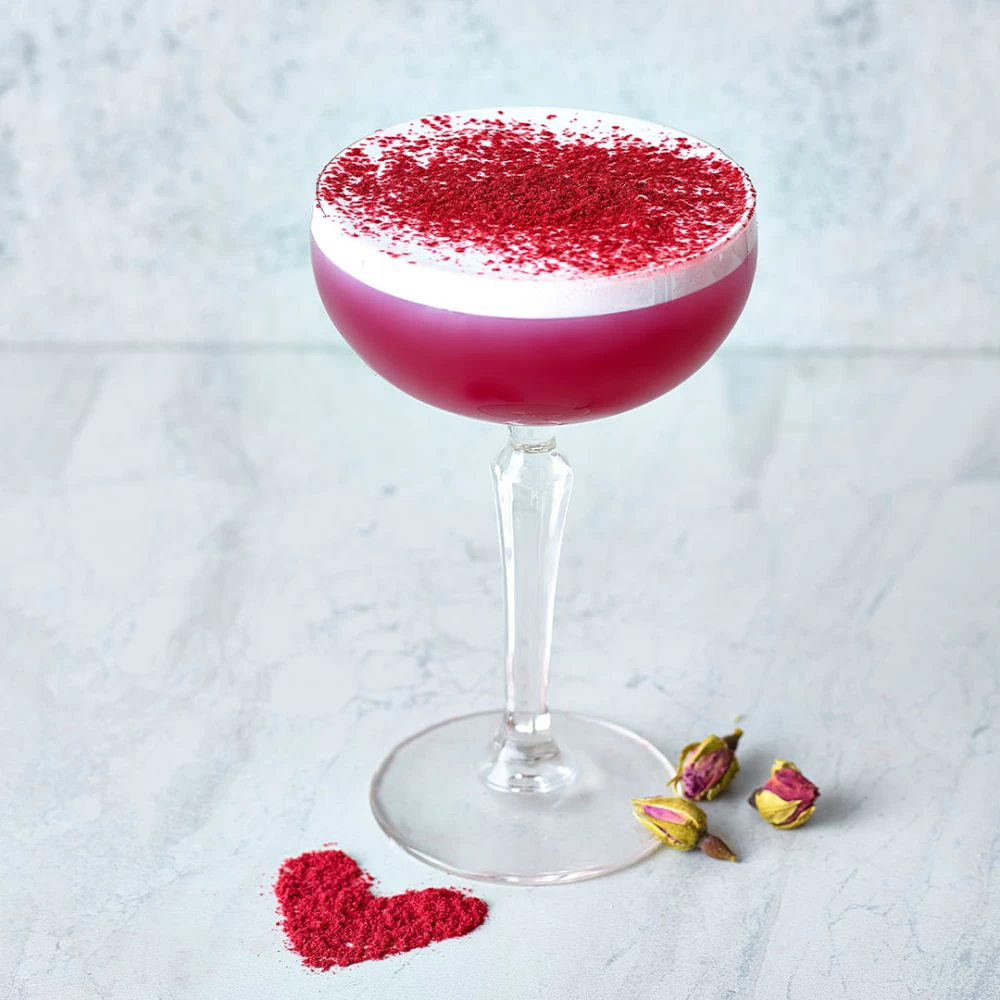 Le Sirop de Monin Zmeură
