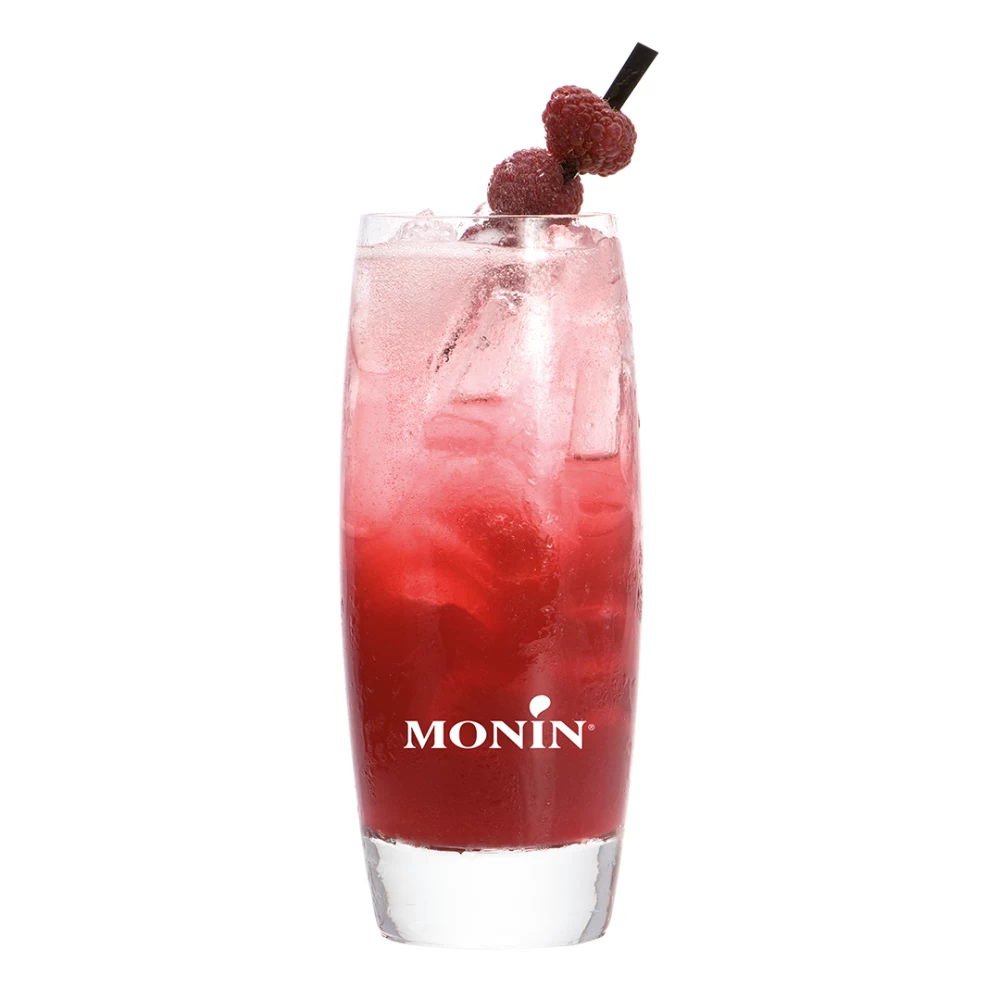 Le Sirop de Monin Zmeură