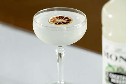 Le Mixeur Daiquiri