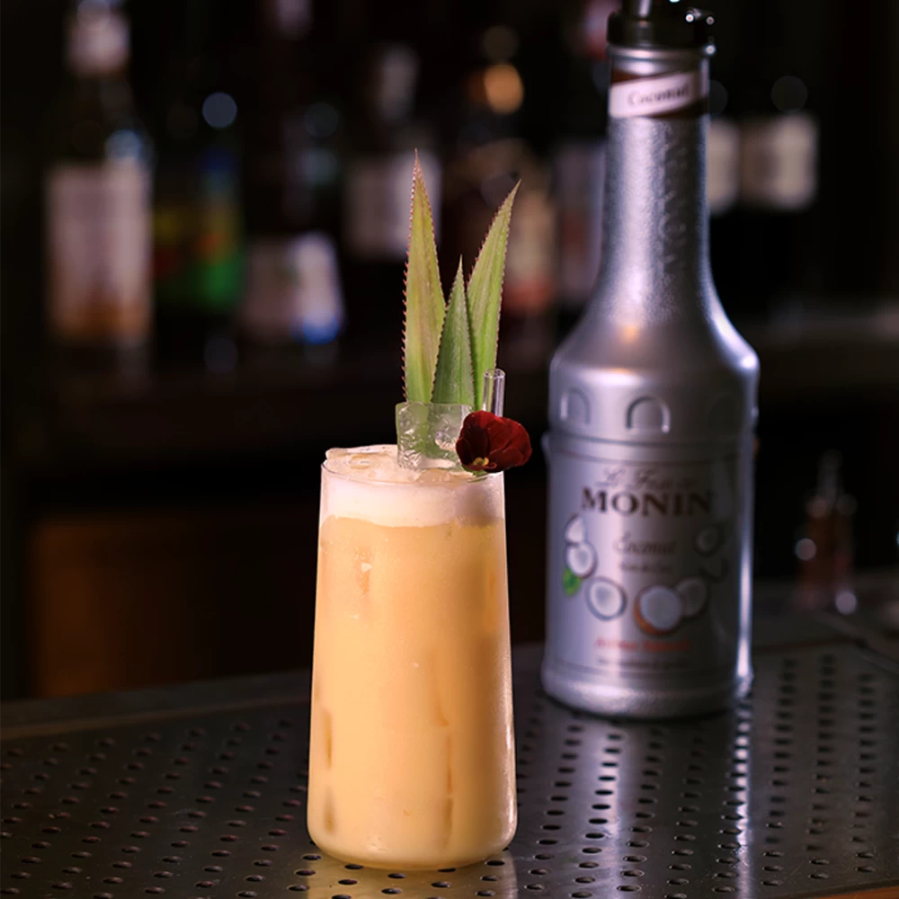 Le Fruit de Monin Cocos