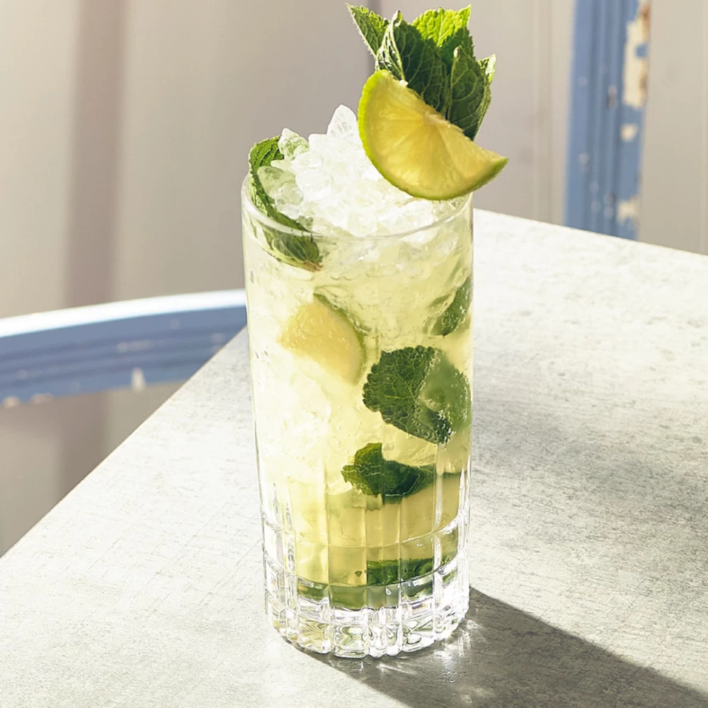 Le Mixeur Mojito