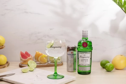 Tanqueray London Dry and Tonic
